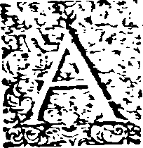 038/038010050302620_0.png