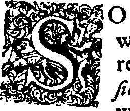 038/038010050400040_0.png