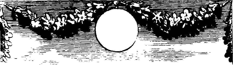 038/038010050501290_0.png