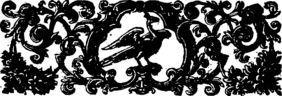 038/038010050501610_1.png