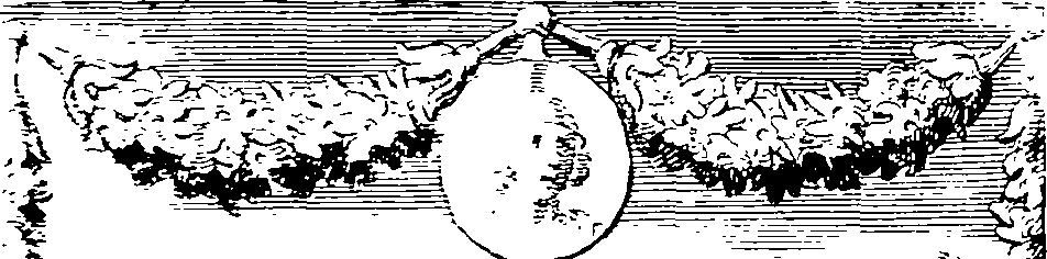 038/038020010600030_0.png