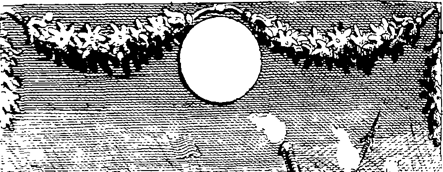 038/038020010801490_0.png