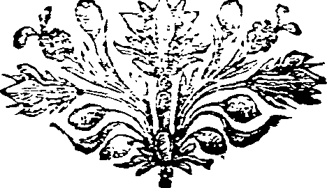 038/038020050000060_0.png