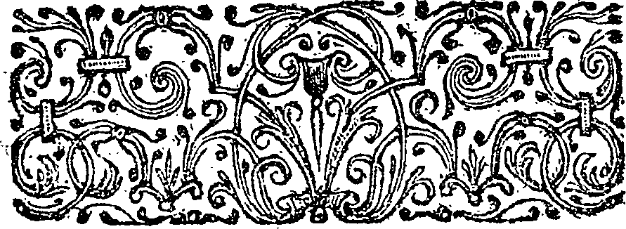 038/038120010100110_2.png