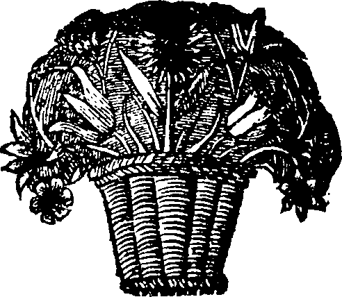 038/038160020002110_0.png