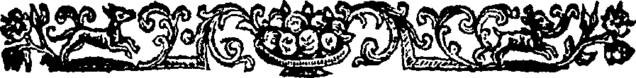 038/038370070000360_1.png
