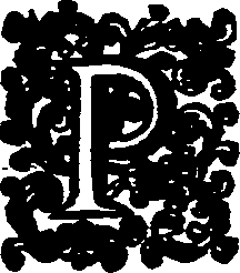 038/038370070000390_0.png