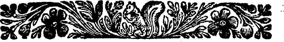 038/038370070000520_1.png