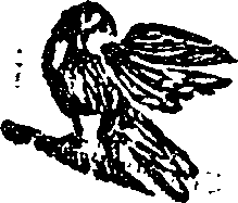038/038400050703250_0.png