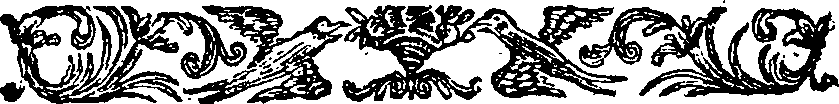 038/038550010000030_2.png