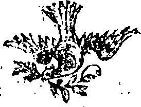 038/038550020000650_0.png