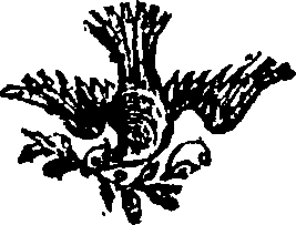 038/038550020000810_0.png