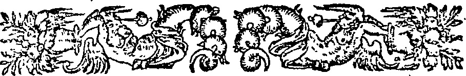 038/038590120000020_1.png