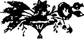 038/038670020000010_0.png