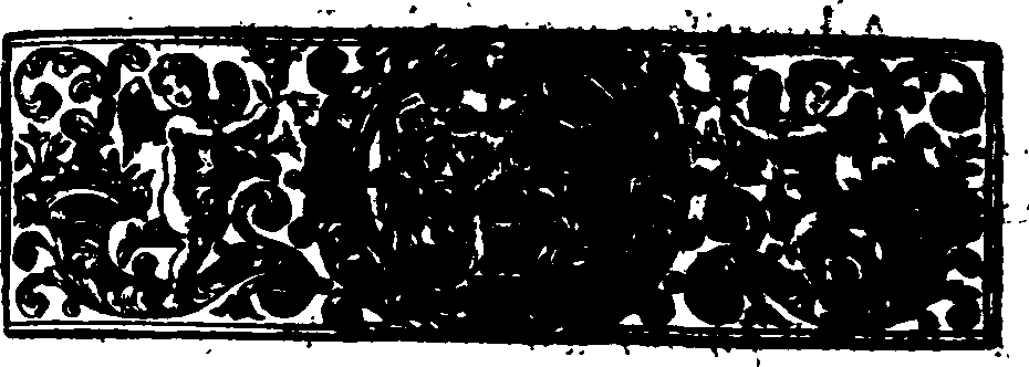 038/038700010000020_1.png