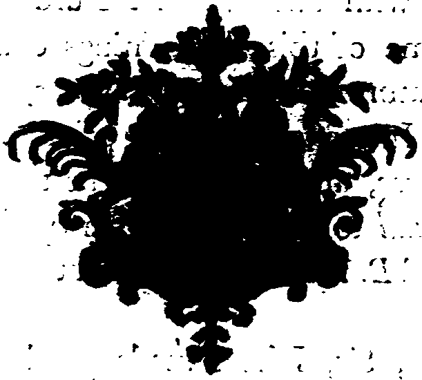 038/038710070000300_1.png