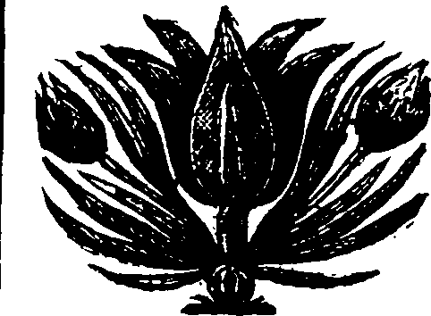 038/038730100000560_0.png