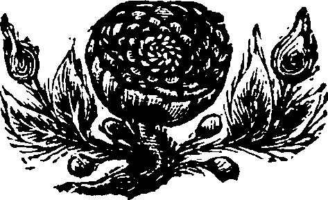 038/038730100000600_0.png