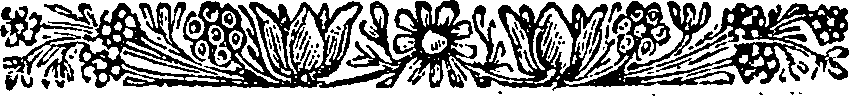038/038750070000750_0.png