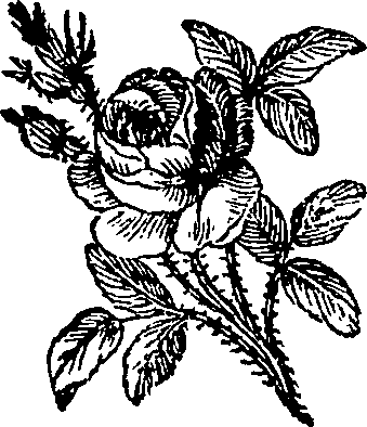 038/038770100100240_0.png
