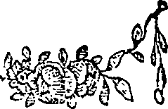 038/038770100200390_0.png