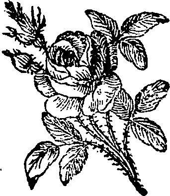 038/038770100200490_0.png