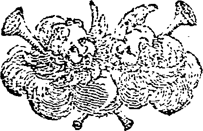 038/038780030000940_0.png