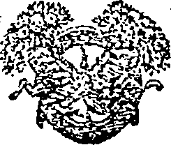 038/038780030001350_0.png