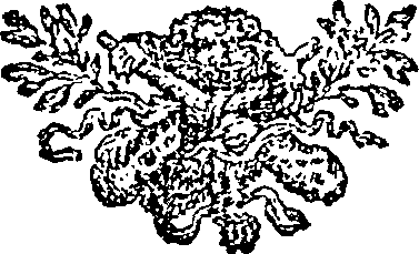 038/038820040003370_0.png