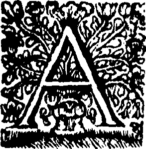 039/039010030004690_1.png