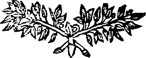 039/039110010302250_1.png