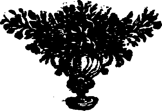 039/039190160001910_1.png