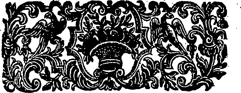 039/039300010400890_2.png