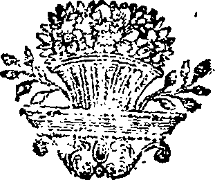 039/039340060000330_0.png