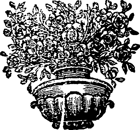 039/039340060001220_0.png