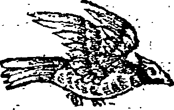 039/039380050000180_0.png