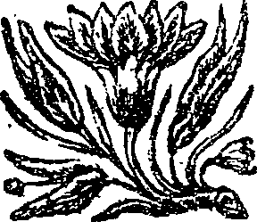 039/039390060000920_0.png