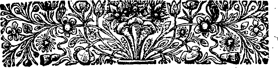 039/039410060000020_1.png