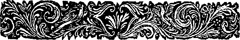 039/039420010002340_0.png