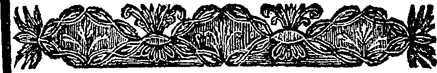 039/039420010002340_1.png