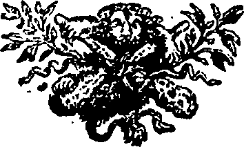 039/039480030002530_0.png