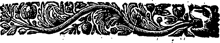 039/039570060002460_1.png