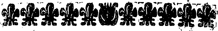 039/039650070000010_1.png