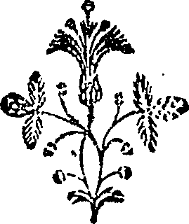039/039840210200570_0.png