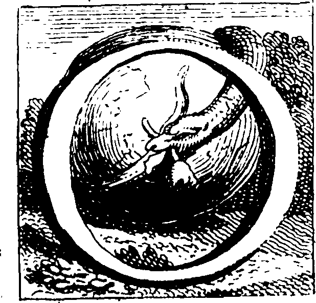 039/039850010100180_0.png