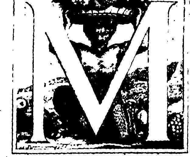 039/039850010200300_0.png