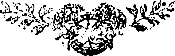 039/039850010202900_0.png