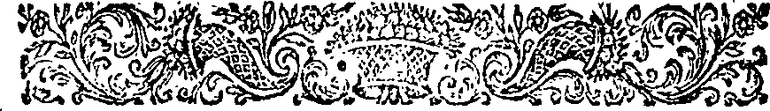 040/040030110000520_1.png