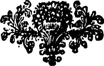 040/040070010203750_0.png