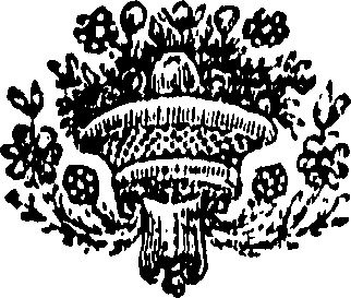 040/040070010203780_0.png